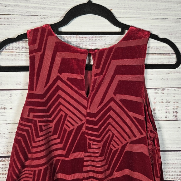 NWT Anthro Sunday in Brooklyn velvet swing tank top - Picture 9 of 14
